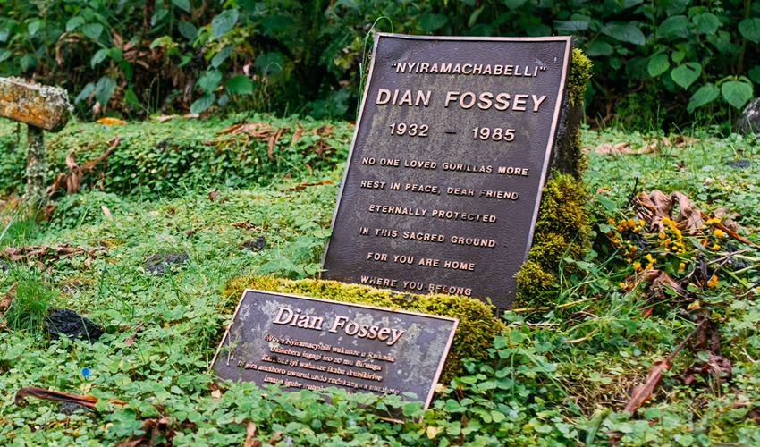 Dian Fossey Hiking