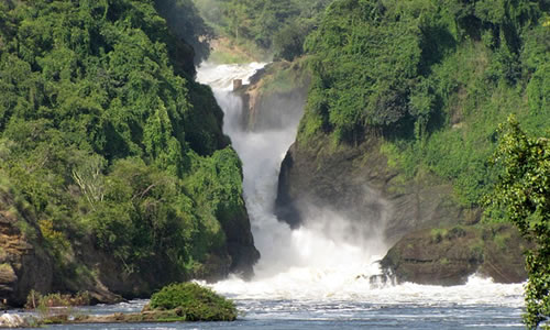 3 Day Safari to Murchison Falls National Park