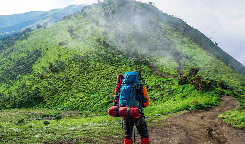 Volcano Hiking in Mgahinga National Park